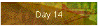 Day 14